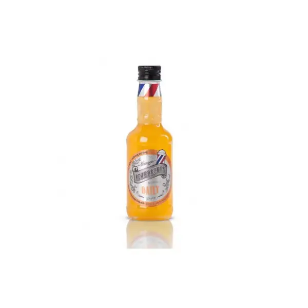 Beardburys Daily Shampoo (100 ml)